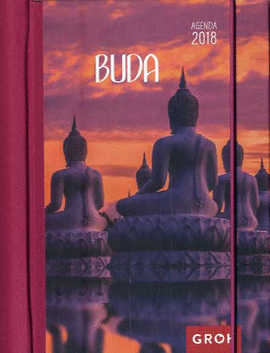 BUDA -AGENDA 20148
