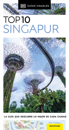 SINGAPUR (GUAS VISUALES TOP 10)