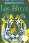 LOS FELINOS -DESCUBRE Y EXPLORA