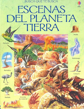 ESCENAS DEL PLANETA TIERRA