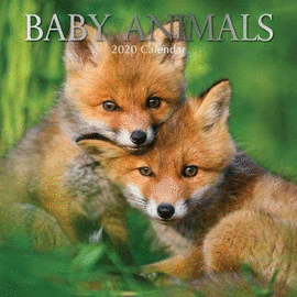 2020 CALENDARIO PARED BABY ANIMALS