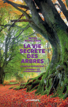VIE SECRETE ARBRES