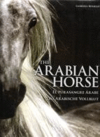 THE ARABIAN HORSE- EL PURASANGRE ARABE- ESP.- KONEMANN