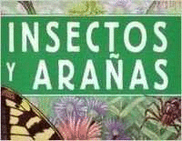 INSECTOS Y ARAAS -LIBRO GIGANTE