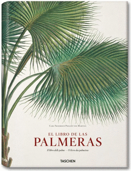 MARTIUS. BOOK OF PALMS