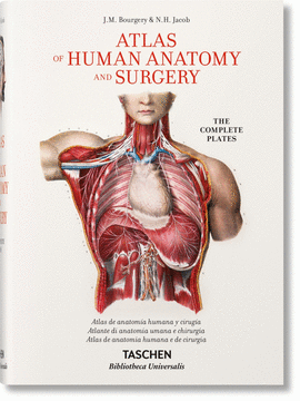 BOURGERY. ATLAS DE ANATOMA HUMANA Y CIRUGA