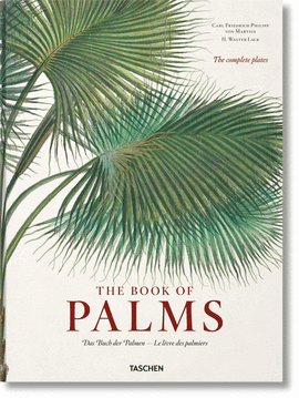 VON MARTIUS. THE BOOK OF PALMS