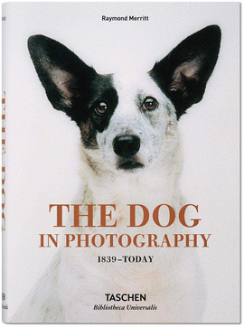 DOG IN PHOTOGRAPHY 1839 TODAY (AL/FR/IN)