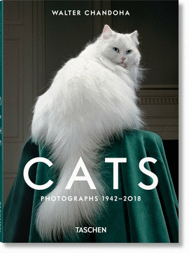 WALTER CHANDOHA. CATS. PHOTOGRAPHS 19422018