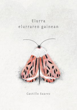 ELURRA ELURRAREN GAINEAN  (POESIA)