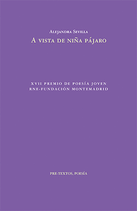 A VISTA DE NI�A P�JARO