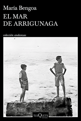 EL MAR DE ARRIGUNAGA