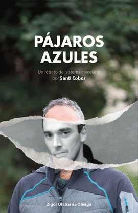 PAJAROS AZULES