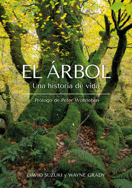 EL RBOL