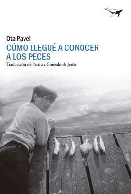 COMO LLEGU A CONOCER A LOS PECES