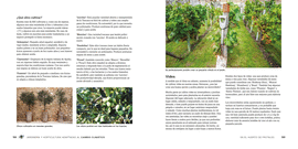 JARDINERA Y HORTICULTURA ADAPTADAS AL CAMBIO CLIMTICO