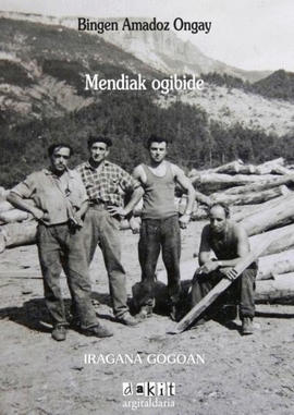 MENDIA OGIBIDE