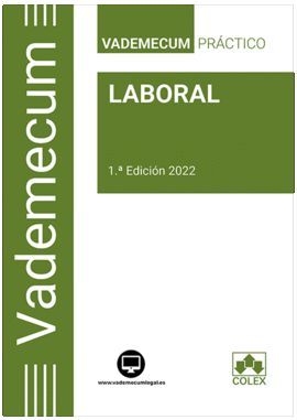 VADEMECUM  LABORAL