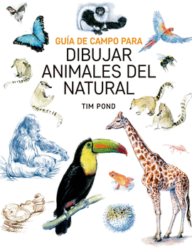 GUA DE CAMPO PARA DIBUJAR ANIMALES DEL NATURAL