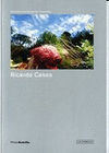 RICARDO CASES