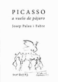 PICASSO A VUELO DE PAJARO