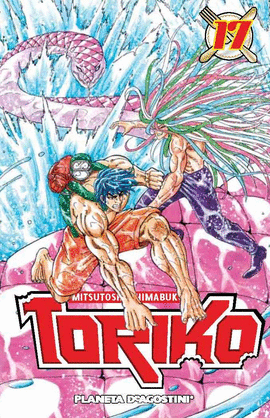 TORIKO N17