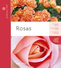 PACK ROSAS