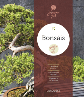 BONSIS