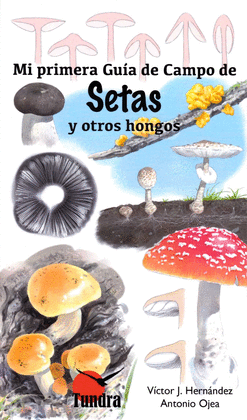 MI PRIMERA GUIA CAMPO DE SETAS Y OTROS HONGOS