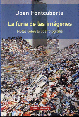 FURIA DE LAS IMGENES, LA -RSTICA