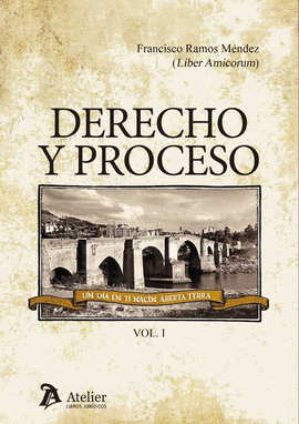 DERECHO Y PROCESO