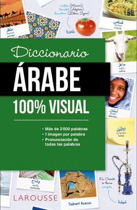 DICCIONARIO DE RABE 100% VISUAL