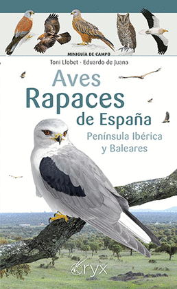 AVES RAPACES DE ESPAA, PENNSULA IBRICA Y BALEARES