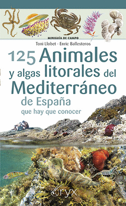 125 ANIMALES Y ALGAS LITORALES DEL MEDITERRNEO DE ESPAA QUE HAY QUE CONOCER