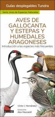 AVES DE GALLOCANTA Y ESTEPAS Y HUMEDALES ARAGONESES - GUIAS DESPLEGABLES TUNDRA