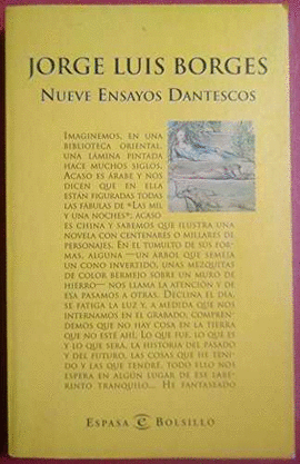 NUEVE ENSAYOS DANTESCOS (POL)