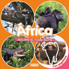 AFRICA - DESCUBRE EL MUNDO ANIMAL CON PEGATINAS