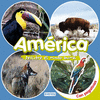 AMERICA - DESCUBRE EL MUNDO ANIMAL CON PEGATINAS