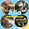 ASIA - DESCUBRE EL MUNDO ANIMAL CON PEGATINAS