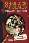 SHERLOCK HOLMES Y LOS IRREGULARES DE BAKER STREET. LA CAIDA DE LO