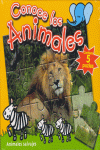ANIMALES SALVAJES -CONOCE LOS ANIMALES