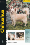 CHIHUAHUA -EXCELLENCE