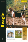 BEAGLE -SERIE EXCELLENCE