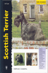 SCOTTISH TERRIER -EXCELLENCE