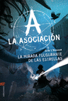 LA ASOCIACION N�8. LA MIRADA FULGURANTE DE LAS ESTRELLAS