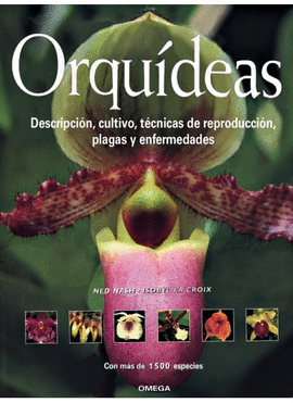 ORQUIDEAS
