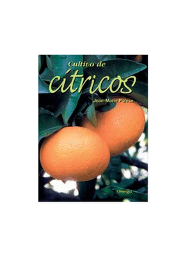 CULTIVO DE CITRICOS