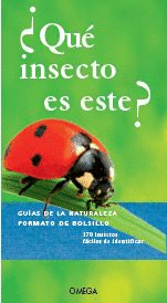 QUE INSECTO ES ESTE