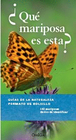 QUE MARIPOSA ES ESTA