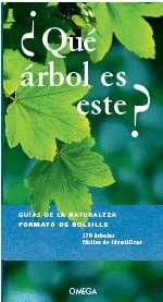 QUE ARBOL ES ESTE